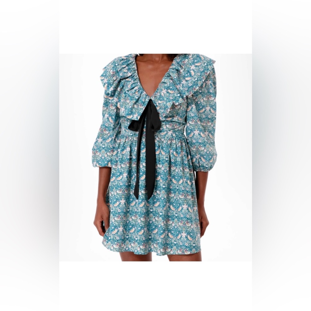 Tuckernuck Hyacinth Birdsong Dress